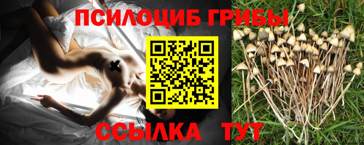 Псилоцибиновые грибы Cubensis  Вход с VPN  Зеленодольск 